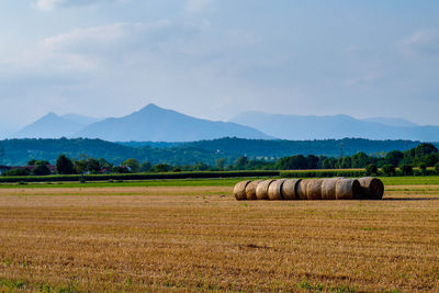 Hay bales on field against sky