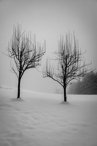 Bare tree on snow covered field against sky