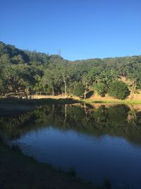 Scenic view of lake against clear blue sky