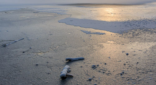 Scenic view of beach