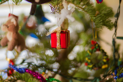 Close-up of christmas decorations hanging on tree