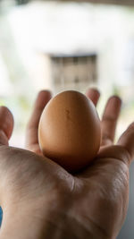 Close-up of hand holding eggs