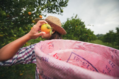 Woman holding orange on tree at farm