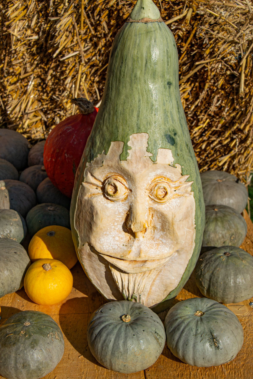 CLOSE-UP OF PUMPKIN AND STATUES