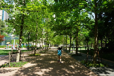 Boy walking in park