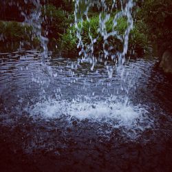 View of waterfall in forest