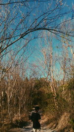 Rear view of people on bare tree against sky