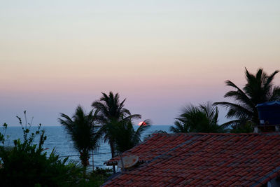 Palm trees and building against sky during sunset