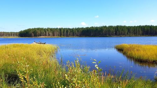 Scenic view of lake in forest against blue sky