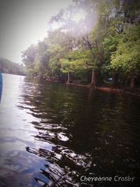 Scenic view of lake in forest against sky