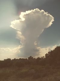 Scenic view of landscape against cloudy sky