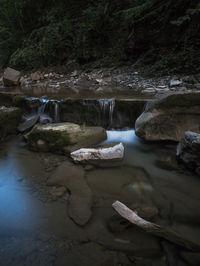 Scenic view of river flowing through rocks in forest