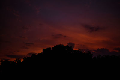 Low angle view of silhouette trees against orange sky