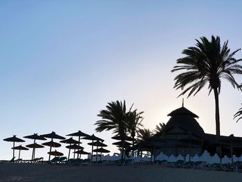 Silhouette palm trees on beach against clear sky