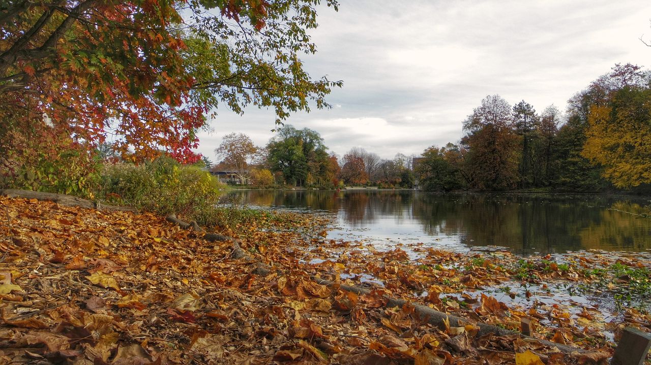 tree, water, autumn, leaf, season, change, lake, tranquil scene, sky, leaves, tranquility, scenics, beauty in nature, reflection, nature, majestic, cloud, branch, cloud - sky, day, non-urban scene, tourism, outdoors, calm, no people, distant, vacations