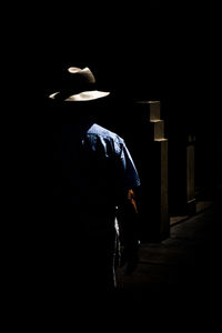 Rear view of person walking on street at night