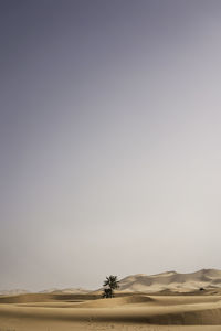 Scenic view of desert against clear sky