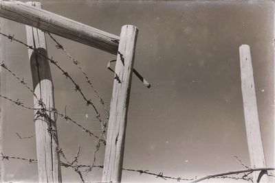 Low angle view of bird on wooden fence during winter