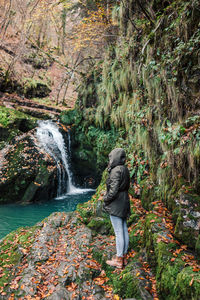 Rear view of person walking on stream in forest