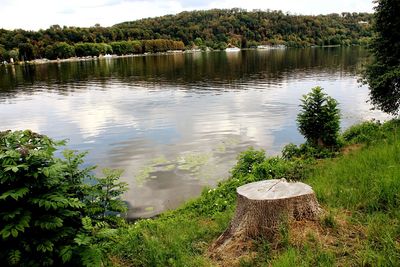 Scenic view of lake in forest against sky