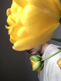 Close-up of woman holding yellow flower