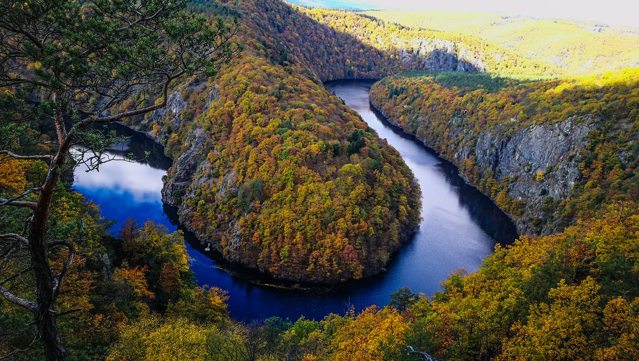 tree, autumn, beauty in nature, nature, tranquil scene, scenics, tranquility, river, water, forest, outdoors, non-urban scene, no people, idyllic, day, high angle view, change, mountain, landscape, sky