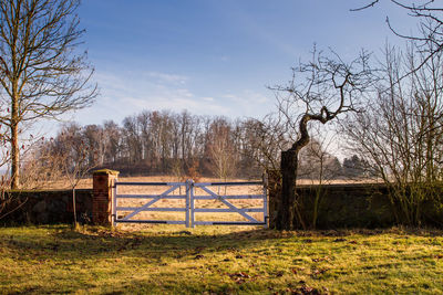 Bare trees on field against sky