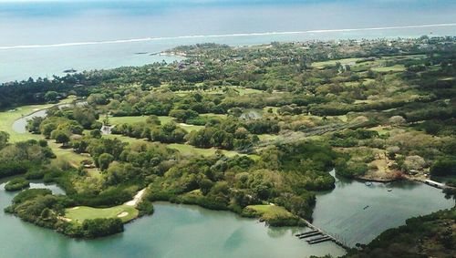 Reflection of trees in water