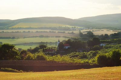 Scenic view of field against sky