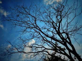 Low angle view of bare tree against sky