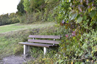 Empty bench in park