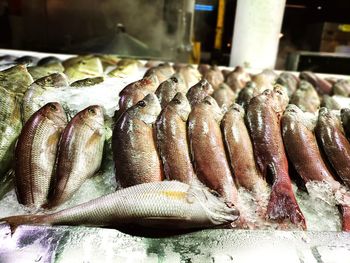 Close-up of fish for sale in market