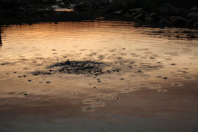 High angle view of wet sand