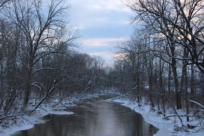 Bare trees by river against sky during winter