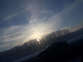 Trees against sky during winter