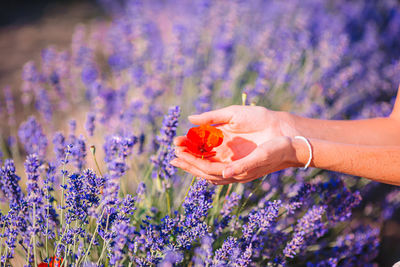 Close-up of human hand against purple flowering plants