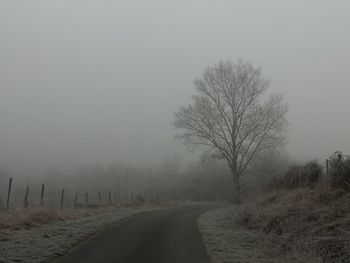 Road amidst bare trees against sky during foggy weather