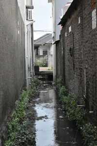 Wet footpath during rainy season