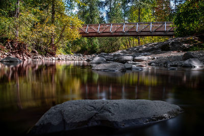 Scenic view of lake in forest