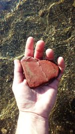 High angle view of hand holding sand at beach