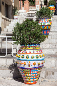 Potted plants outside building