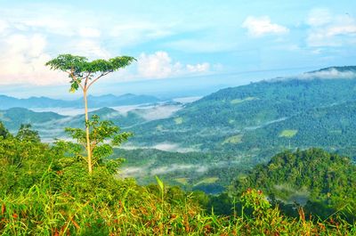 Beautiful valley jamur hill bengkayang, west borneo, indonesia
