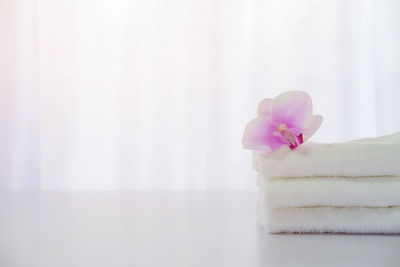 Close-up of pink flower on towels