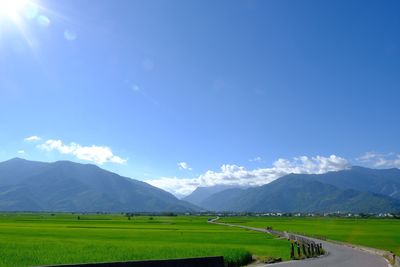 Scenic view of agricultural field against sky