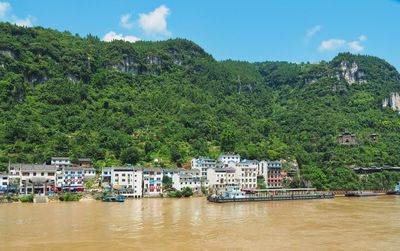 Scenic view of river by trees against sky