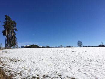 Scenic view of snowy field against clear blue sky