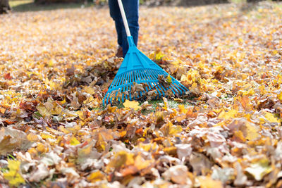 Low section of person leaning filed during autumn