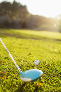 Golf ball and putter on green grass