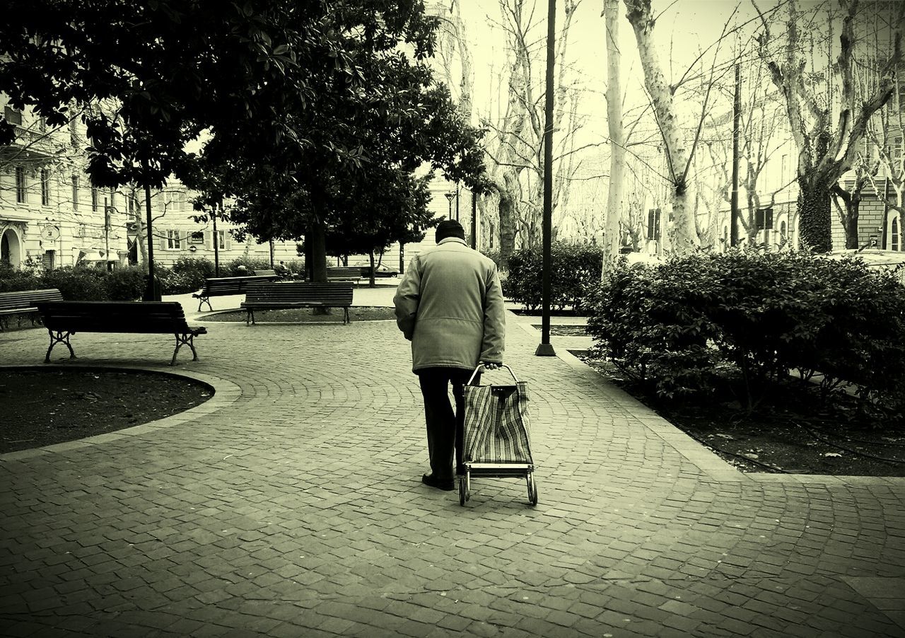 tree, rear view, full length, building exterior, bench, lifestyles, park - man made space, footpath, sidewalk, city, street, built structure, leisure activity, walking, architecture, person, tree trunk, incidental people