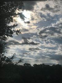 Low angle view of silhouette trees against sky